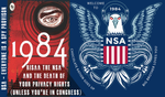 RISAA Section 207 NSA